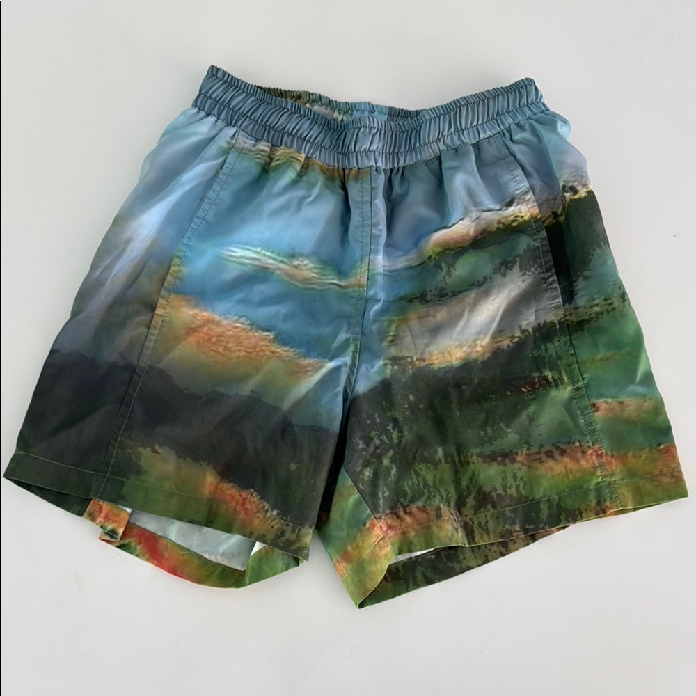 Colorful Landscape Print Shorts